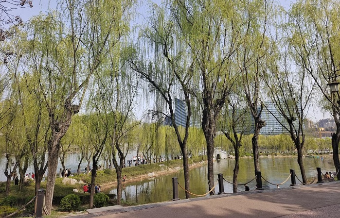 image1.jpeg